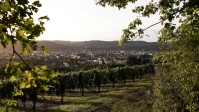 Trier im Überblick